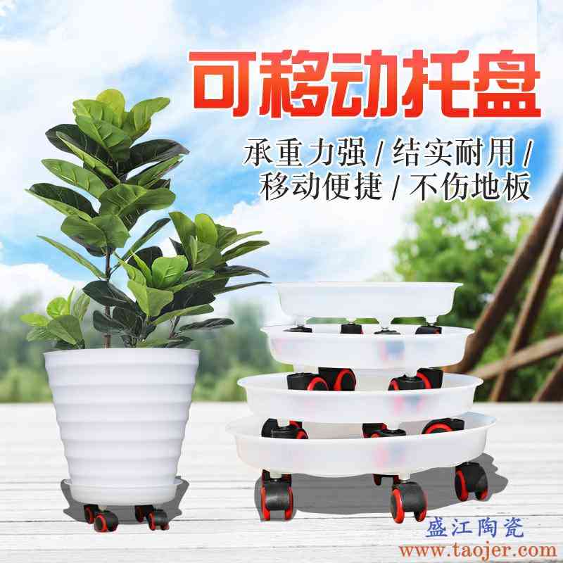 花盆托盘万向轮 塑料托盘绿萝花卉托盘 圆形加厚塑料移动花盆底座