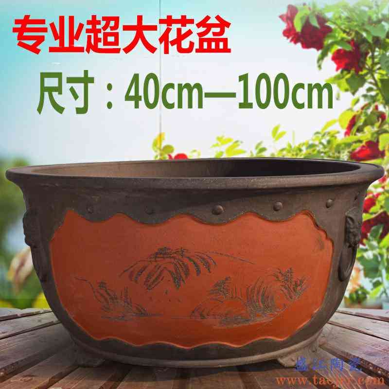 大花盆特大号庭院室外种树盆景紫砂花盆超大口径矮扁圆形陶瓷花缸
