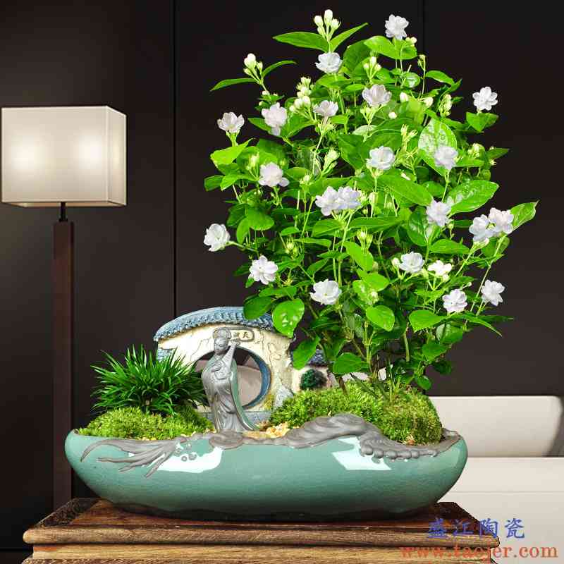 陶瓷古典绿植花盆多肉造型组合盆景哥窑创意蓬莱松茉莉花专用特惠